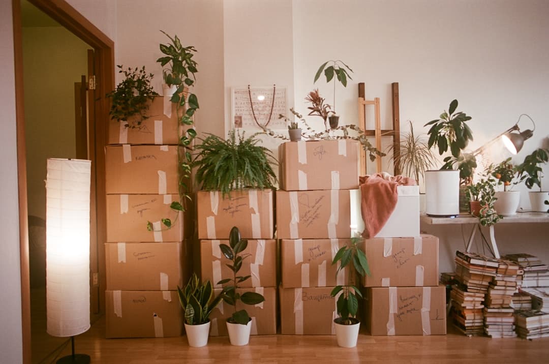 Helping Someone Through a Big Move (Without Adding to Their Pile)